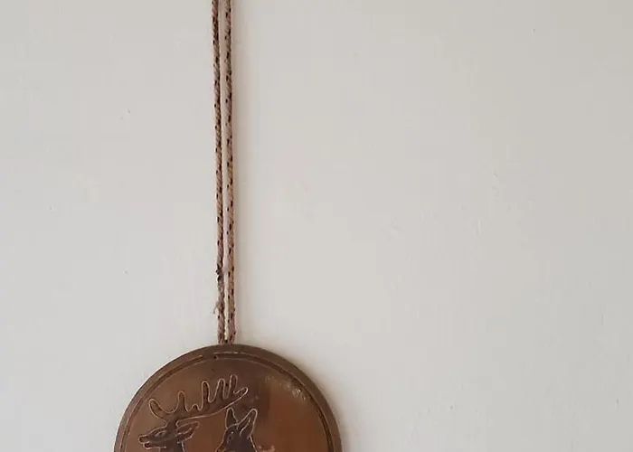 公寓 Cilingiri's Oasis 培拉特